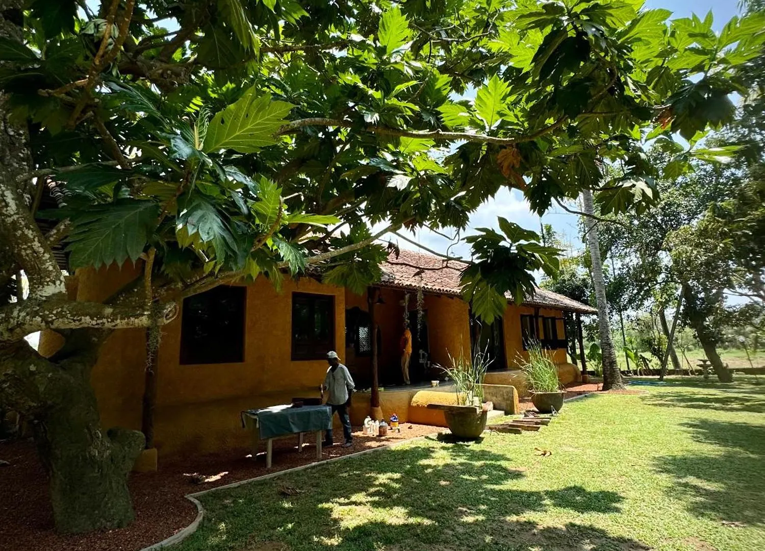 Kirindi Paddy Isle Hotel Negombo