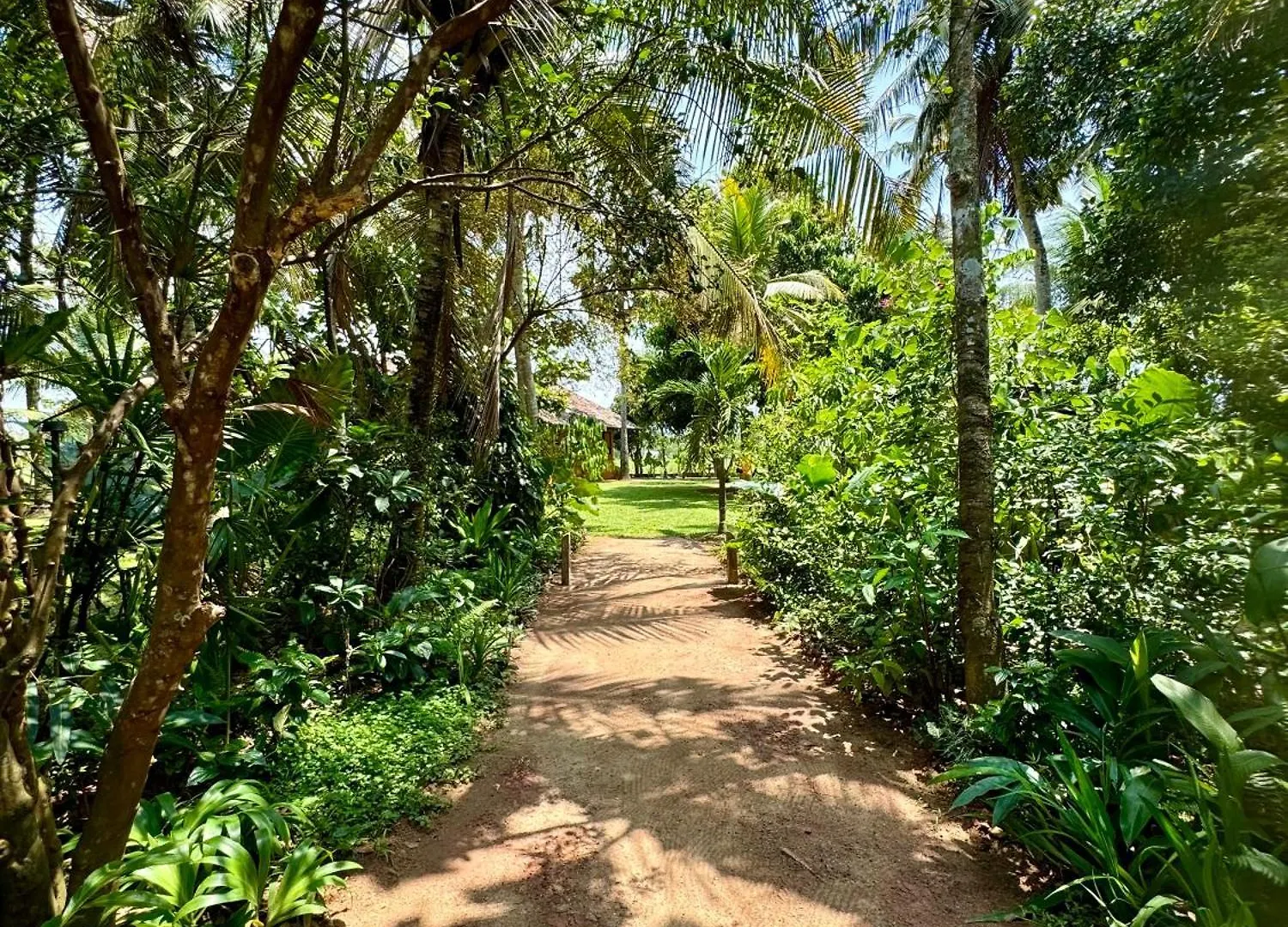 Kirindi Paddy Isle Hotel Negombo