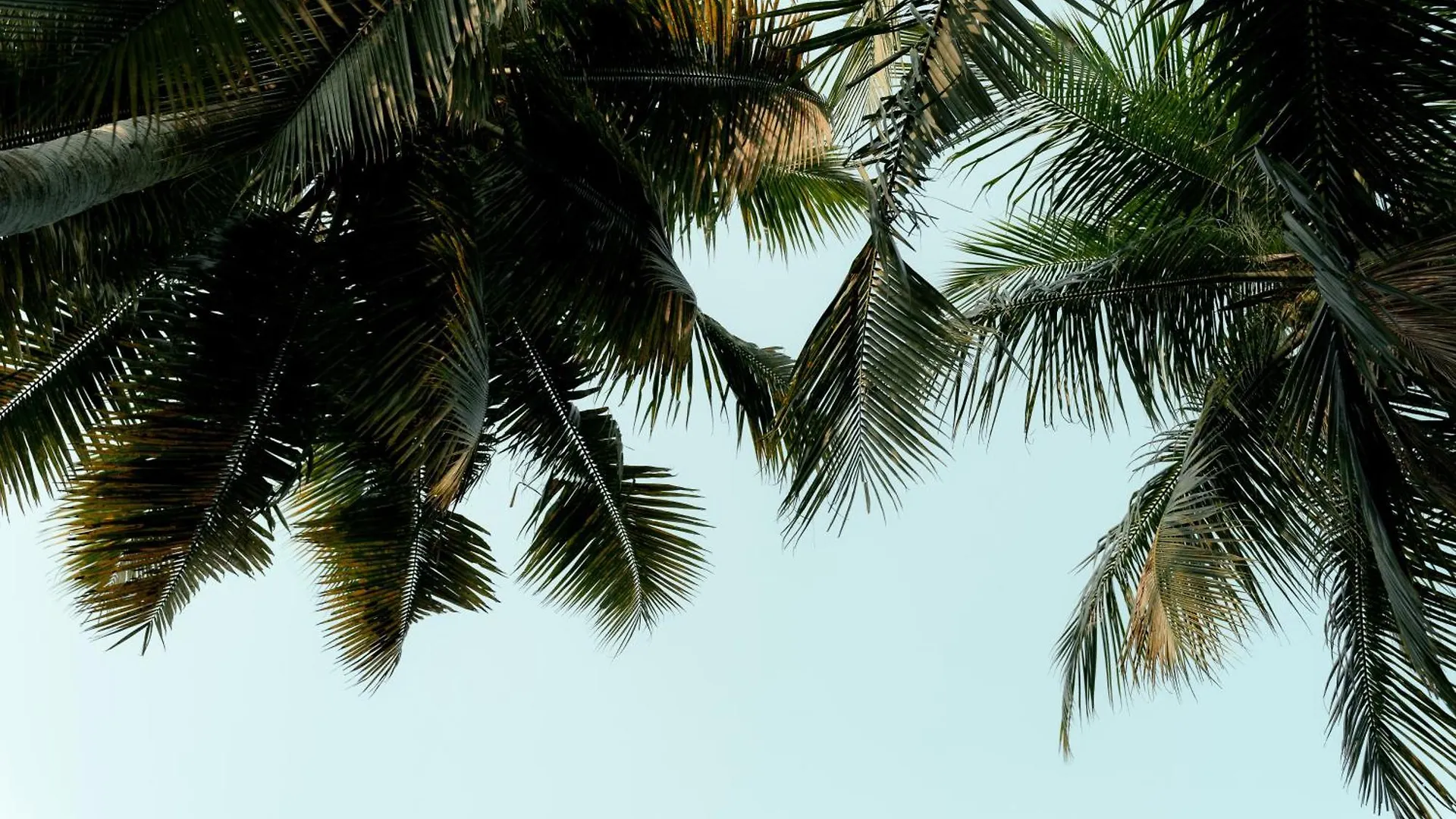 Kirindi Paddy Isle Hotel Negombo