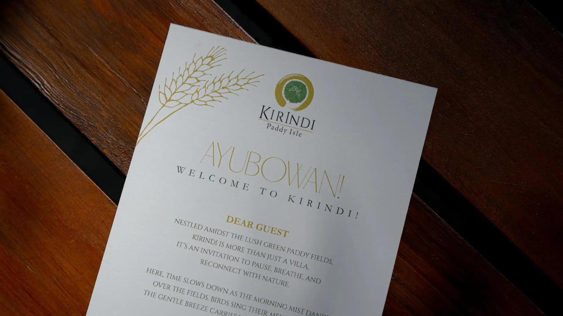 Kirindi Paddy Isle Hotel Negombo Sri Lanka
