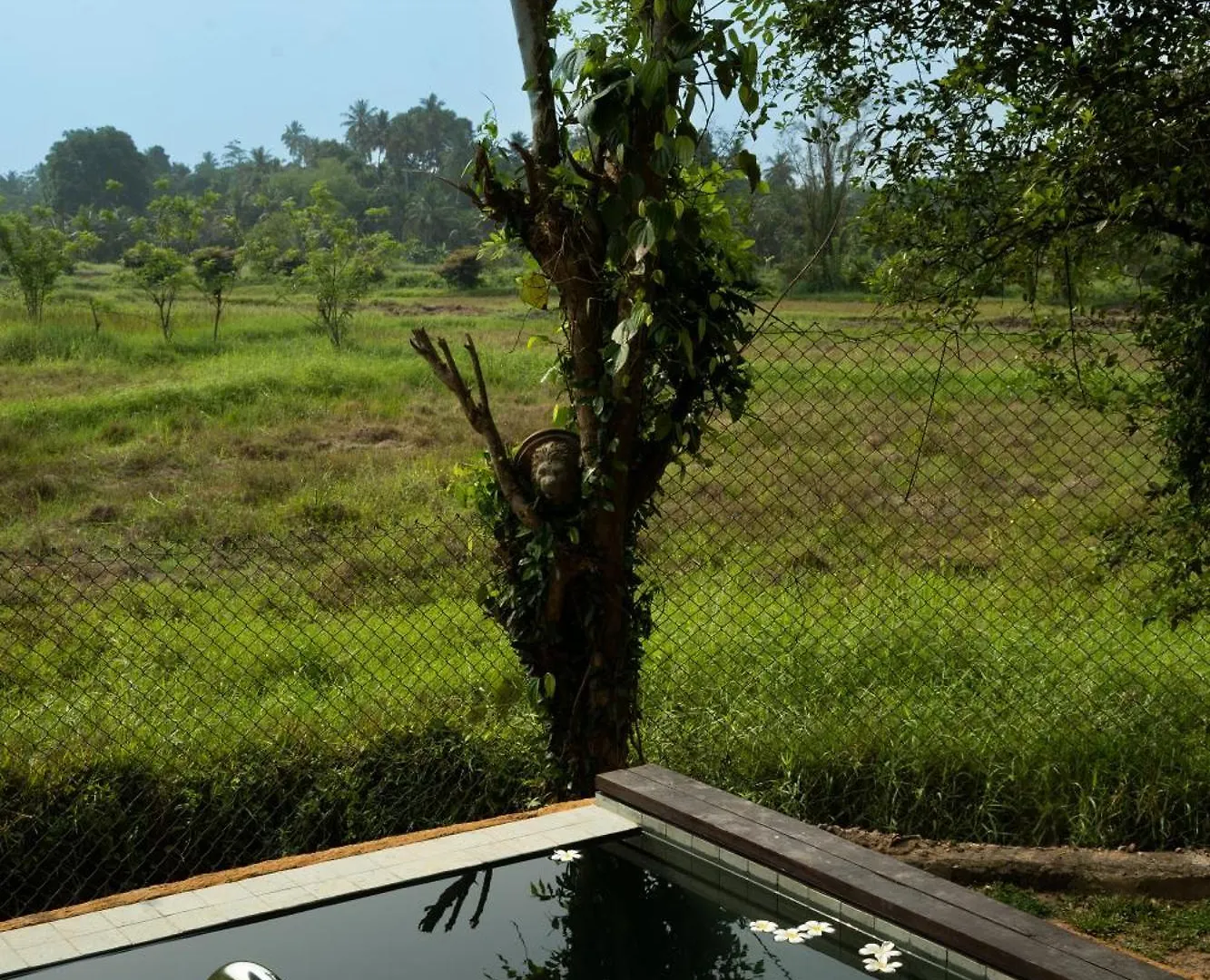 Kirindi Paddy Isle Hotel Negombo