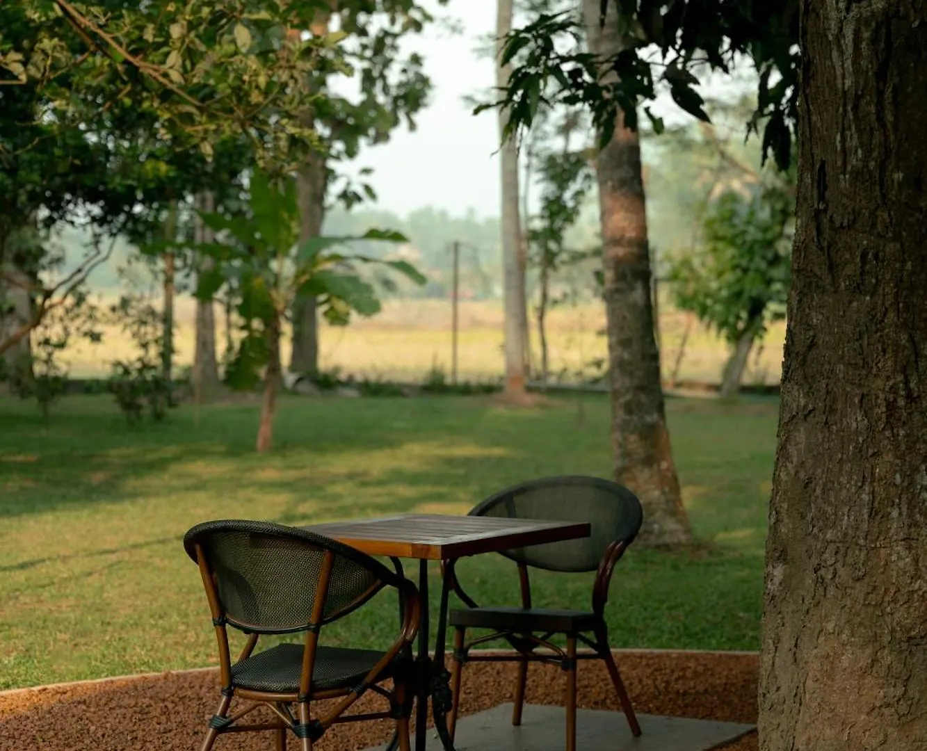 Kirindi Paddy Isle Hotel Negombo Sri Lanka