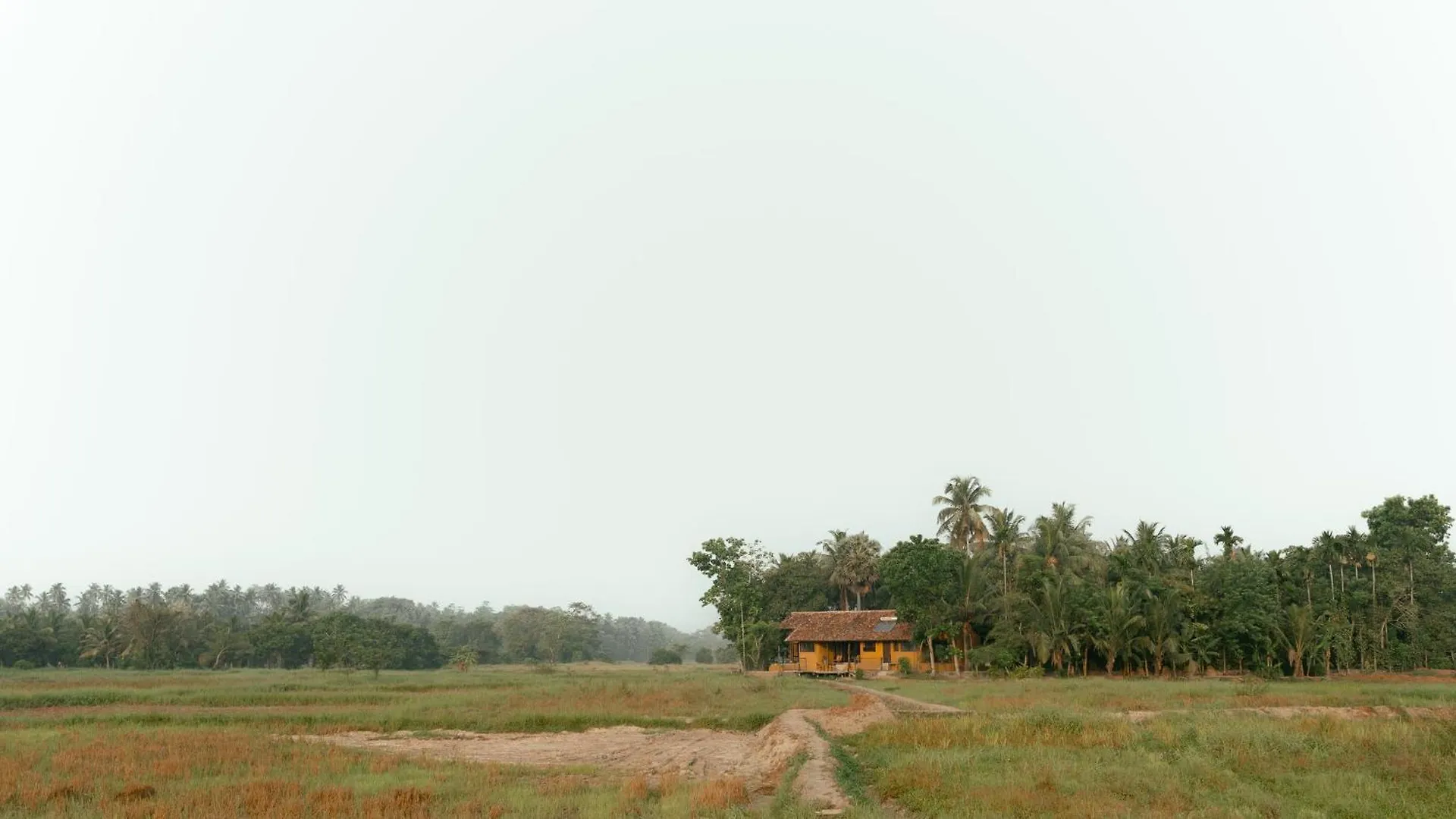 Kirindi Paddy Isle Hotel Negombo
