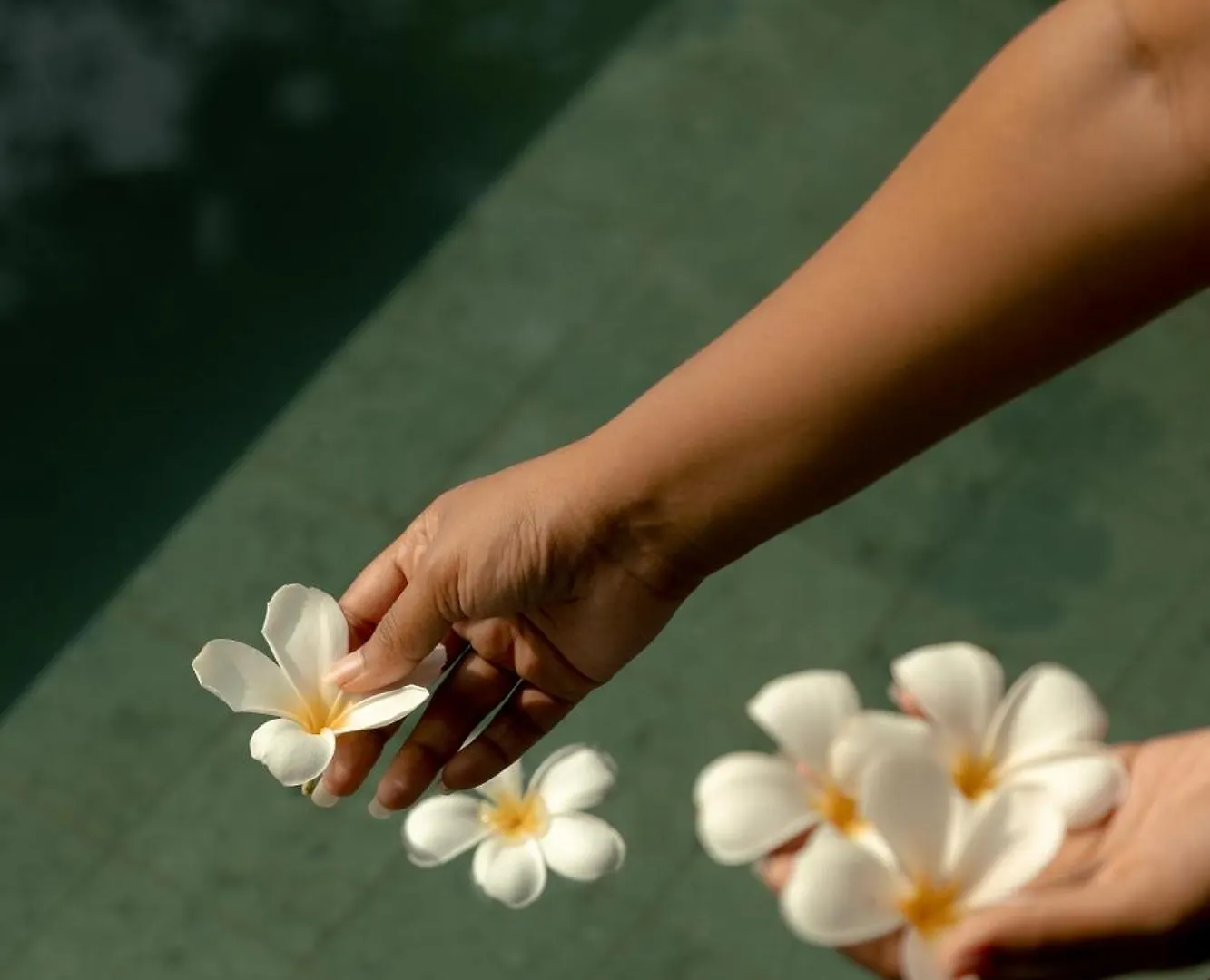 Kirindi Paddy Isle Hotel Negombo