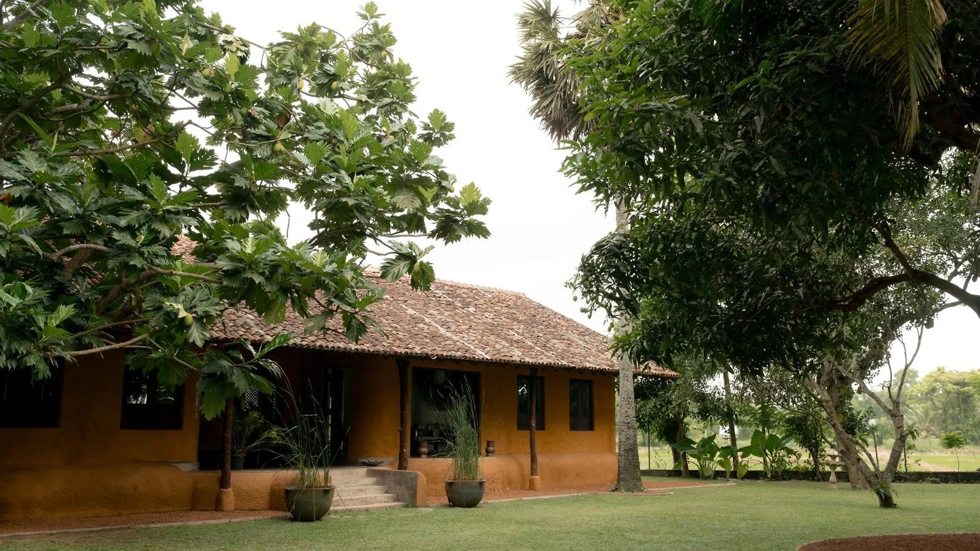 Kirindi Paddy Isle Hotel Negombo Sri Lanka